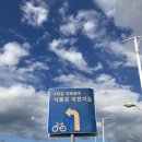 홍찜닭(신평점) 이미지