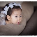 선인장스튜디오 이미지