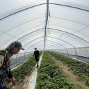 김기성 농장 이미지