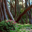 농협엄정 | 10월 13일 [월] 아침 뉴스