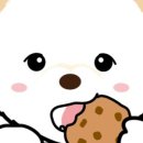 아짱아짱 이미지