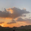 바니네민박집 이미지