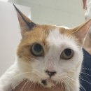 해뜨는 동물병원 이미지