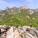 신록1로 이미지