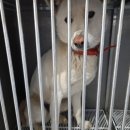 기동리 마을회관 이미지