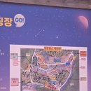 엉클B하우스 | 포천 엉클킴스 포레스트 B존 11번 단체 캠핑 후기 계곡 수영장 그리고 조식까지 (브이하우스L / 쉘터G)