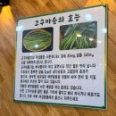 전주원조감자탕 | 전주 찐맛집 육일식당 : 원조 고구마순감자탕 내돈내산 후기