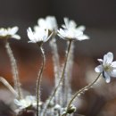 토요크레파스 이미지