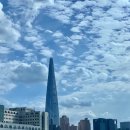 비터스윗코리아 이미지