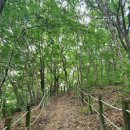 대청호오백리길 대청로하스길 이미지