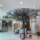 아이드림펫 이미지