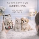 함양동물병원 | 함양말티푸분양 고민 끝내는 기준, 이 글 하나로 선택 정리됩니다