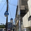 부산 경성대 밥집 백초밥 대연점 스시 포장 후기