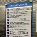 [분당 미금 미용실] &#39;메이원헤어&#39; 가림 디자이너 단발 레이어드 커트 후기