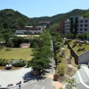 영산대학교(양산) 일반대학원 네이버블로그