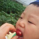 찬민농장 이미지