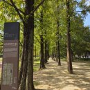 대구호산초등학교 이미지