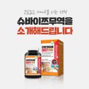 슈바이쯔 이미지