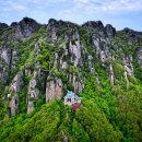 고산참송이버섯 이미지