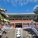 수덕사근역성보관 이미지