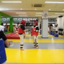 경희대 태권도장 이미지