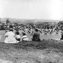 감포초등학교 이미지