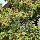 상존경로당 이미지