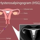 울산영상의학과의원 이미지