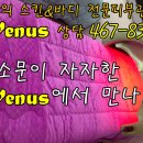 비너스피부샵
