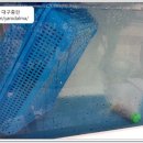 청구아파트삼거리 이미지