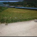 상곡보건진료소 이미지