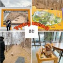 강아지 테마파크 | 춘천 강아지숲 테마파크 홍천 인근 강아지숲 겨울 다녀온 후기