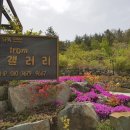 여수프롬갤러리펜션 이미지