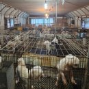 개st하우스 이미지