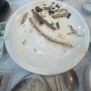 부산물회 다대포맛집 어부홍씨물회&amp;화덕생선구이 후기