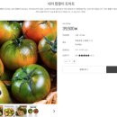 한마음토마토 이미지