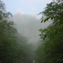 솔바람 물결소리 이미지