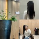 더민 이미지