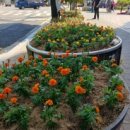 메리골드작은도서관 이미지