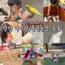 양평 아이와 가볼만한곳 |신상 동물체험 ‘소풍’ 솔직후기🐐(아마도 인스타 핫플예정?)
