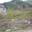 서남 공인중개사사무소 이미지