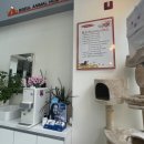 비슬동물병원 이미지