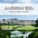 소노펠리체 Par3 | 강원도 골프장 고성 소노펠리체CC 델피노 여름 라운딩