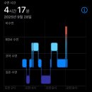 개를 위한 하루 | 수면의 질 높이는 마이인 멜라토닌 2mg 하루멜라 일주일 현실 리얼 후기