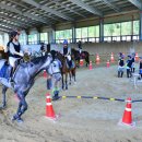 순창군승마장 이미지