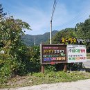 솔다람숲캠핑장 이미지