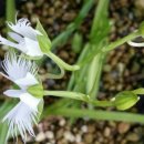 참살이농원 이미지