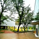 뮤지엄호두 MUSEUM HODU | 예술을 사랑하는 사람들을 위한 공간을 만나다 ~ 뮤지엄호두 &amp; 카페호두 (천안)