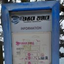 편의점 자갈마당 네이버블로그