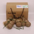 개척농업회사법인 주식회사 네이버블로그